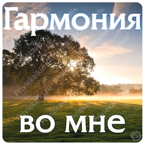 Формулы Счастья Антона Ос
