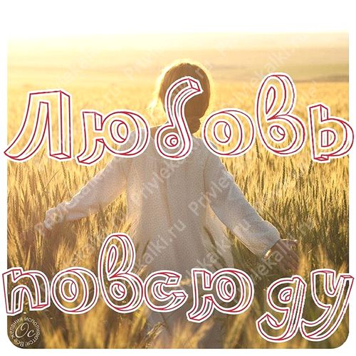 Формулы Счастья Антона Ос