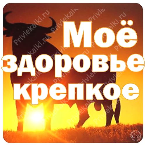 Формулы Счастья Антона Ос