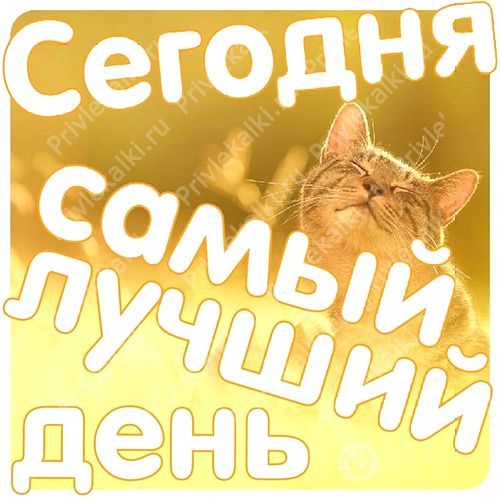 Формулы Счастья Антона Ос