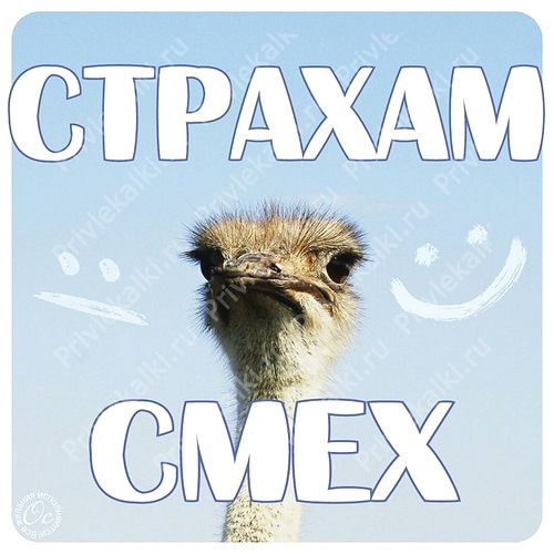 Формулы Счастья Антона Ос